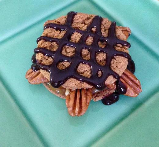 Sweet Turtle Snapper Tarts