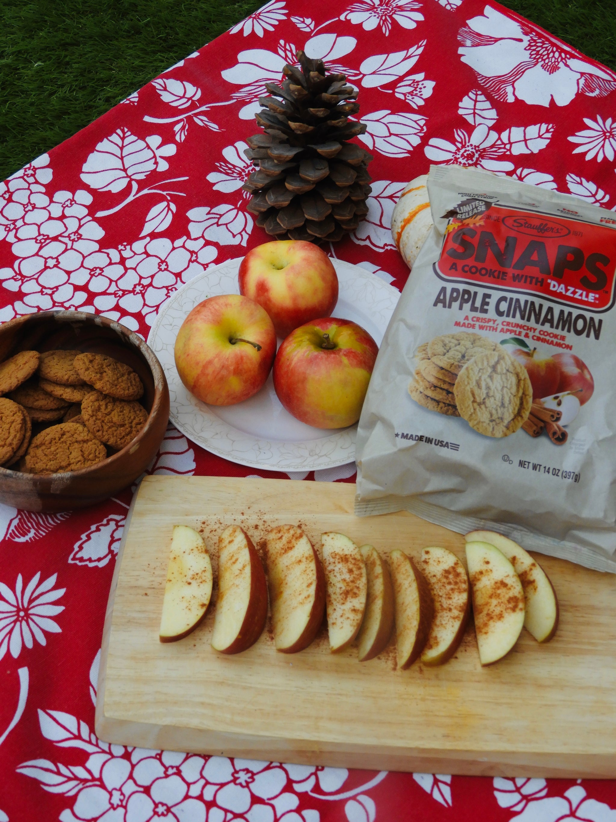 Stauffer's SNAPS Apple Cinnamon, 14oz Bag – Meiji America