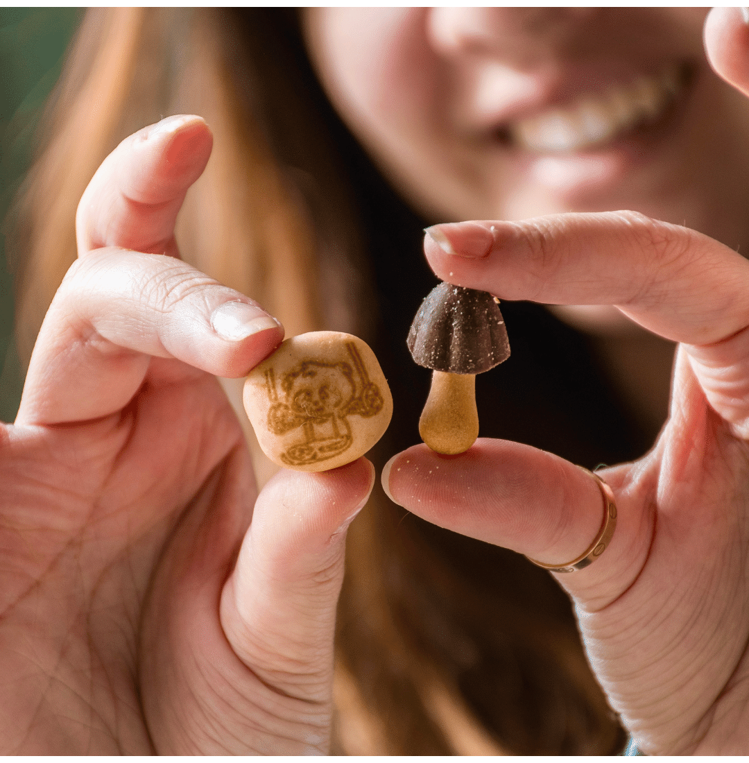 Meiji Hello Panda Chocolate 30pk 0.75oz Multipack – Meiji America